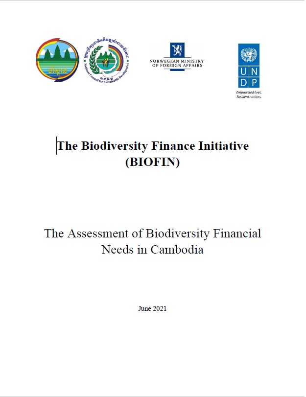 The Financial Needs Assessment (FNA)  – Cambodia