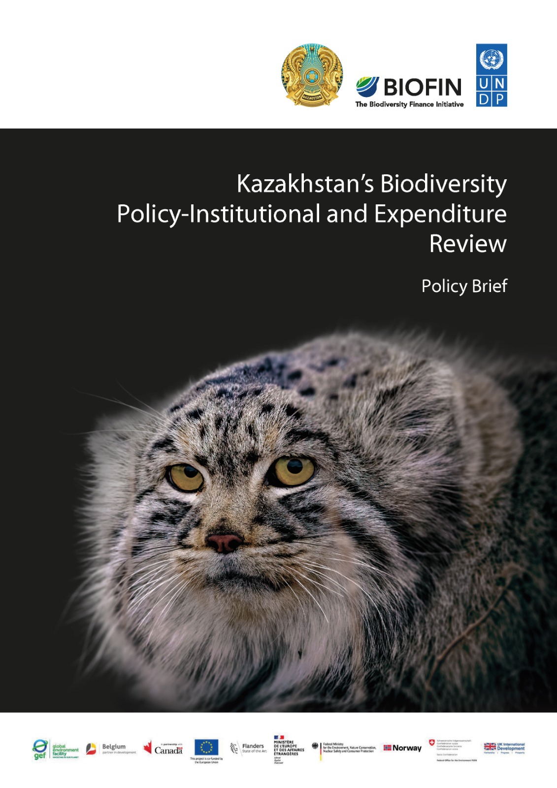 Kazakhstan’s Biodiversity Policy-Institutional and Expenditure Review
