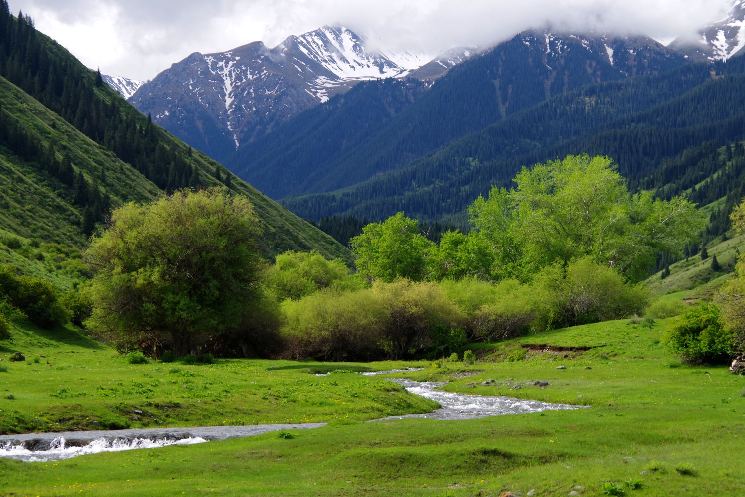 Investing in life: How BIOFIN helps Kazakhstan finance nature