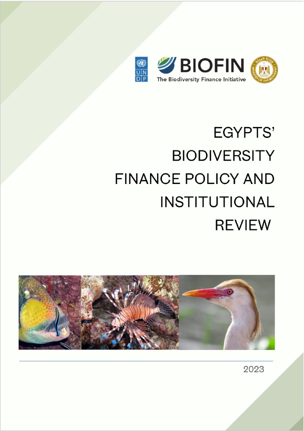 Egypt’s Policy & Institutional Review (PIR)