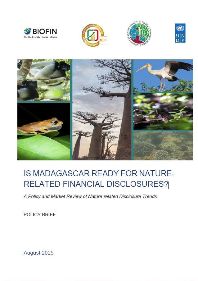 IS MADAGASCAR READY FOR NATURE-RELATED FINANCIAL DISCLOSURES?