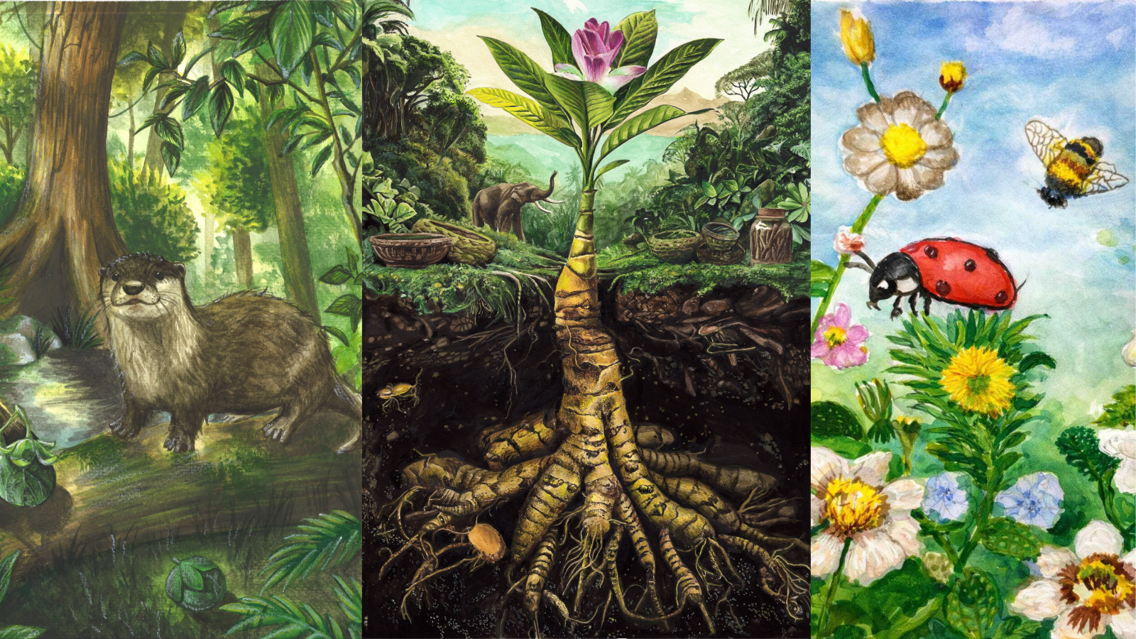 Young artists honoured in global contest celebrating World Wildlife Day 2026