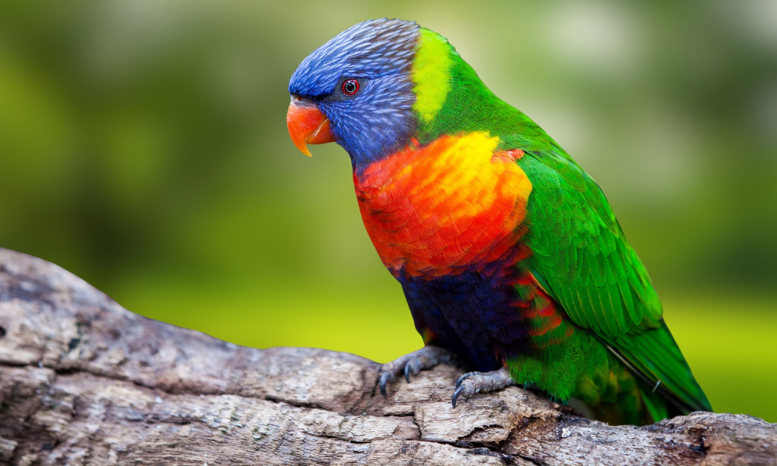 10 ways UNDP BIOFIN is supporting countries to catalyze private finance for nature