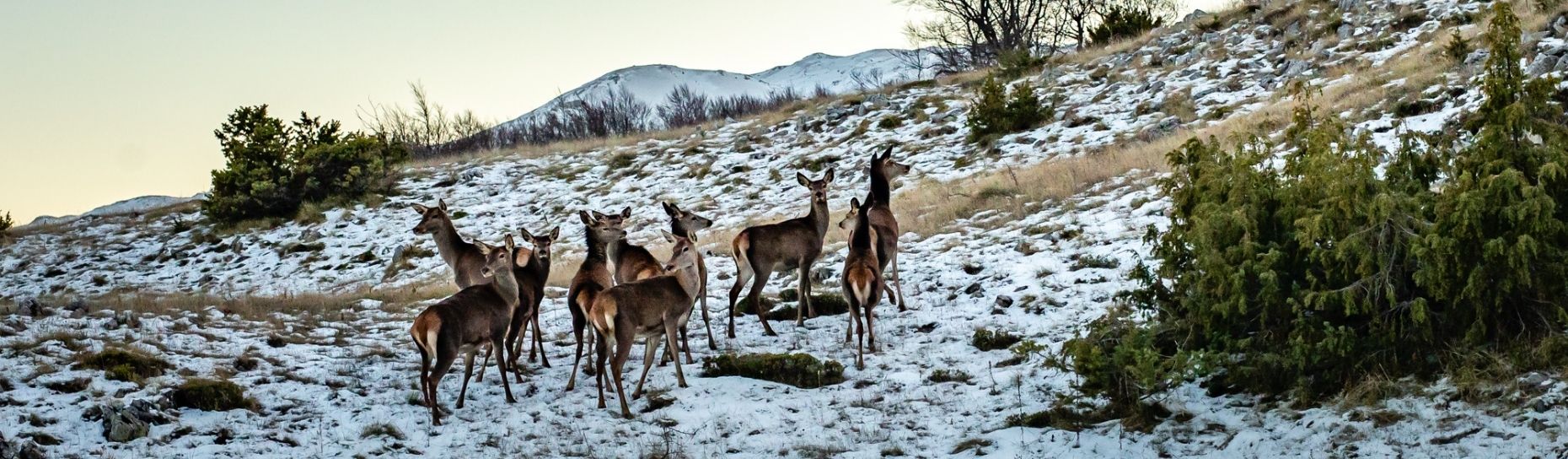 When Nature Meets Finance: A New Chapter for Biodiversity in North Macedonia