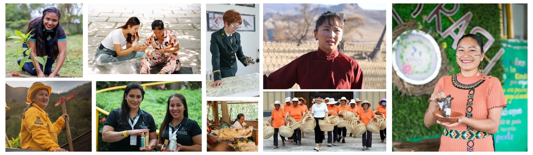 What does gender equality have to do with nature and biodiversity?