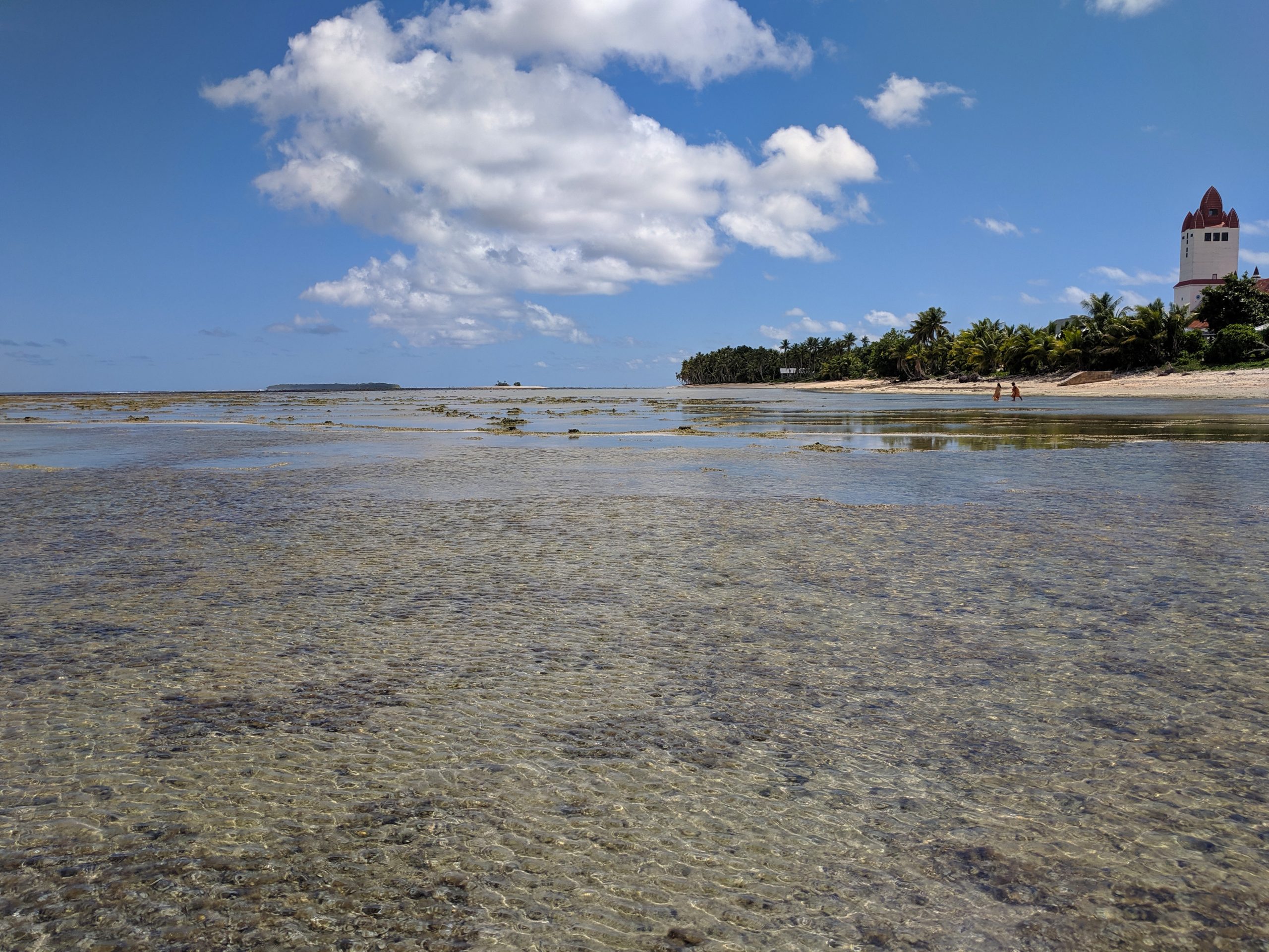 2026: A Defining Year for Biodiversity Finance in the Blue Pacific