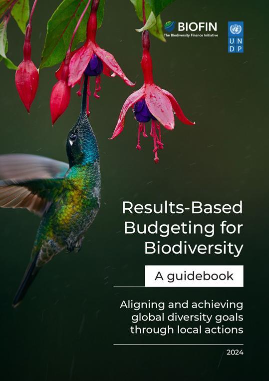 Guidebook – 2024 Results-Based Budgeting for Biodiversity
