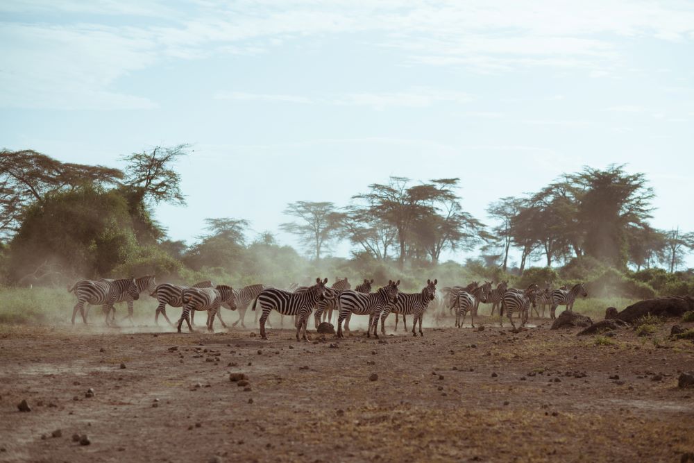 Kenya launches BIOFIN to scale up investment in nature