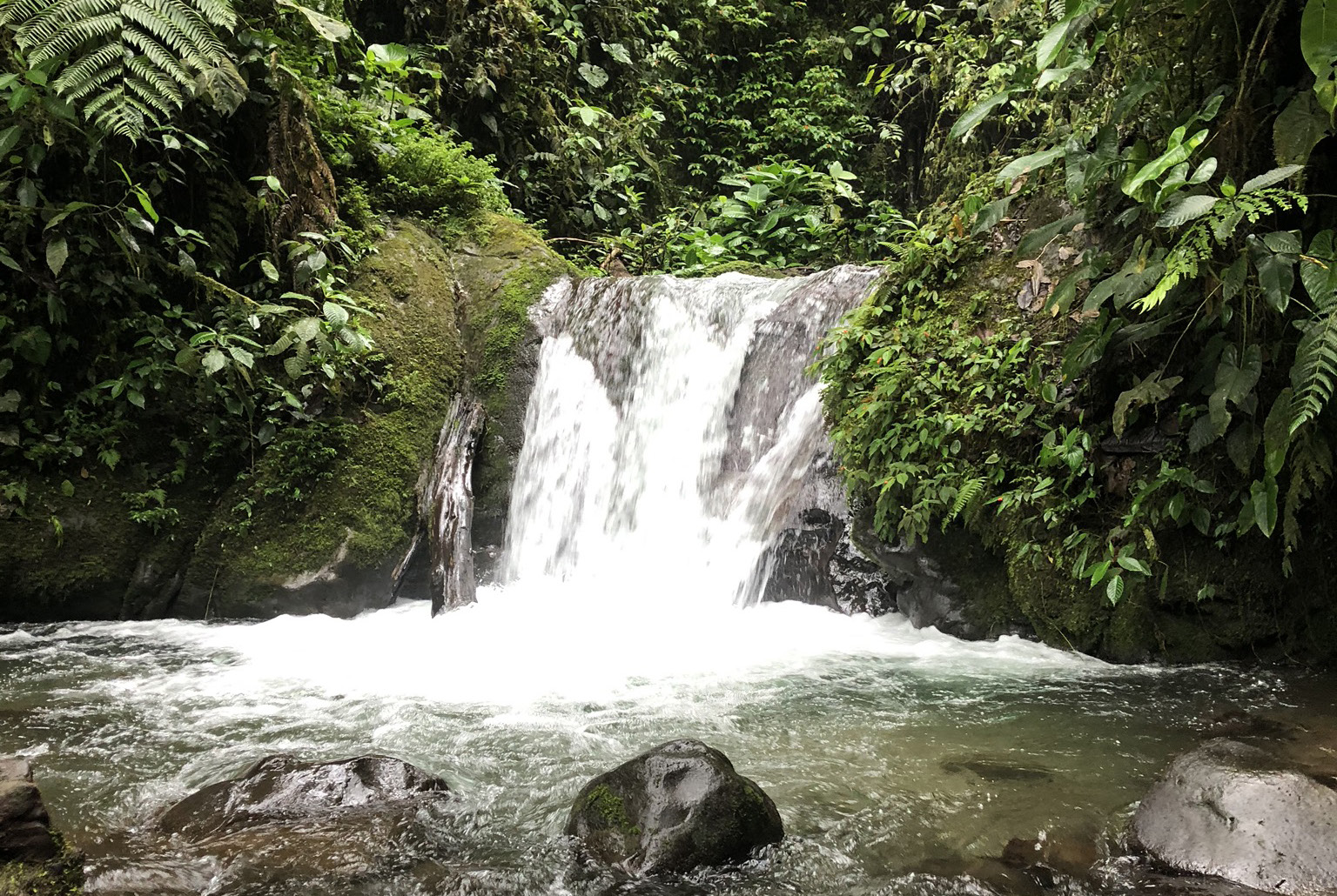 The Role of Finance in the Transition to an Environmentally Sustainable Economy