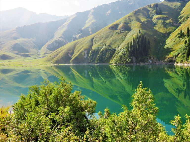 Local Action, Global Impact: Why Kyrgyzstan’s Biodiversity Begins Right Next to Us