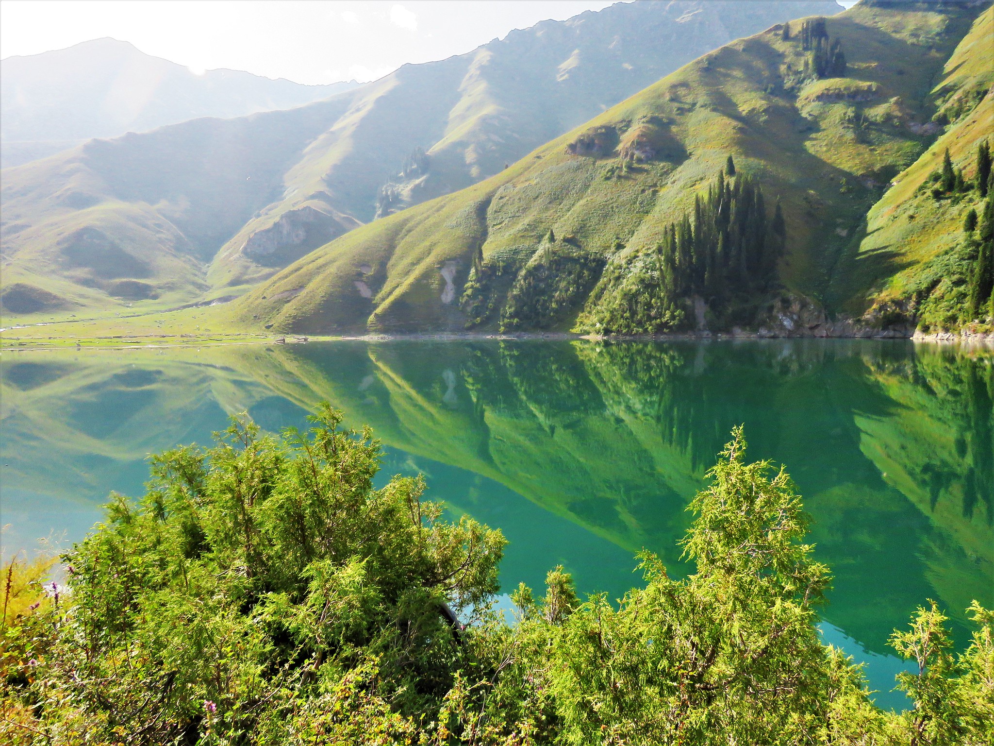 Local Action, Global Impact: Why Kyrgyzstan’s Biodiversity Begins Right Next to Us