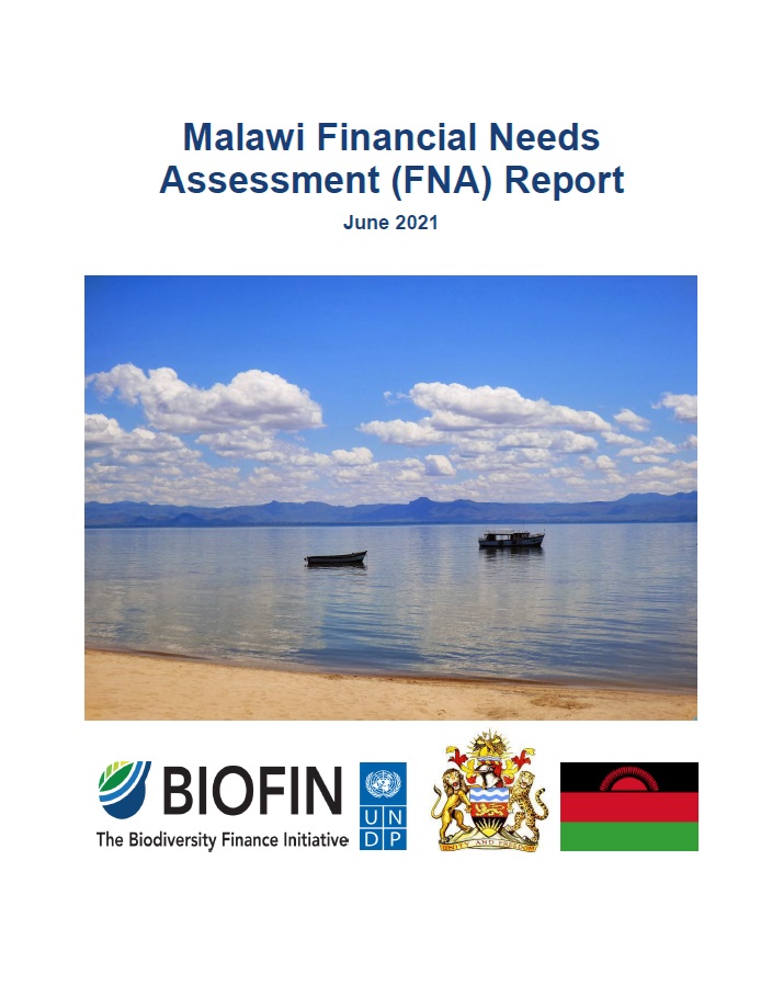 Malawi’s Financial Needs Assessment (FNA)