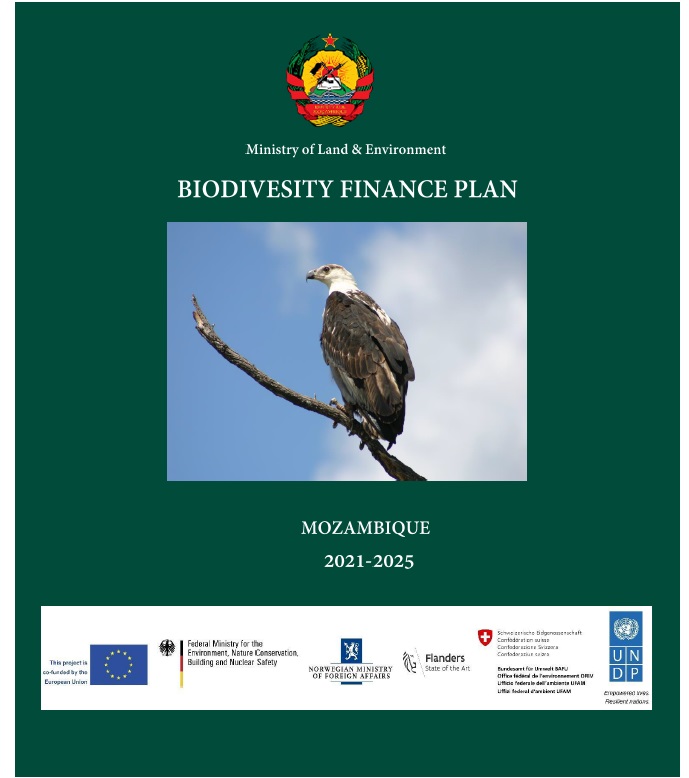 Mozambique’s Biodiversity Finance Plan (BFP)