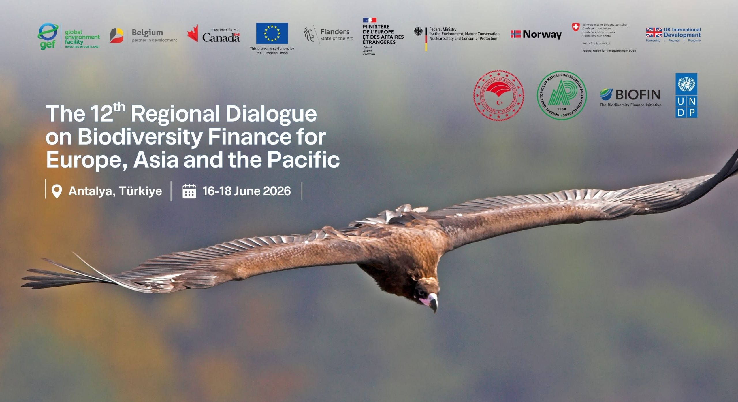 Six key trends to watch at the upcoming EAPAC Regional Dialogue on Biodiversity Finance