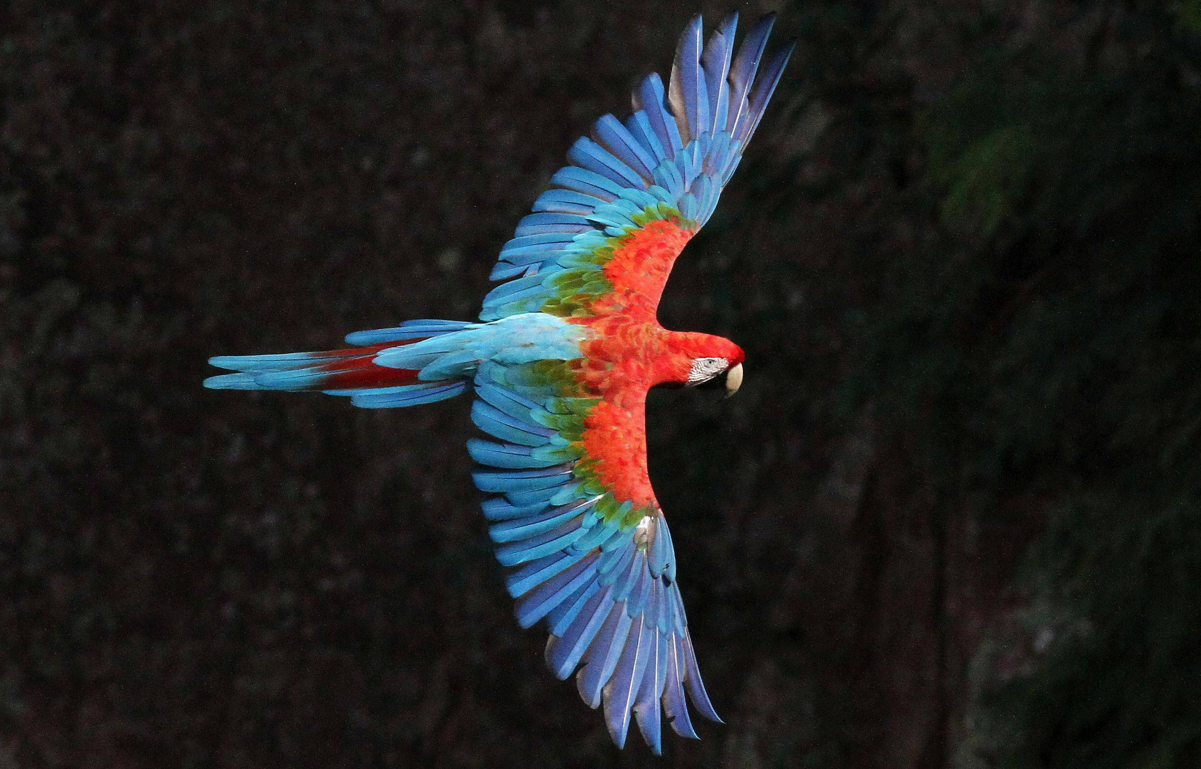 Biodiversity Finance Trends 2025: Seven Signals Shaping the Future of Finance for Nature
