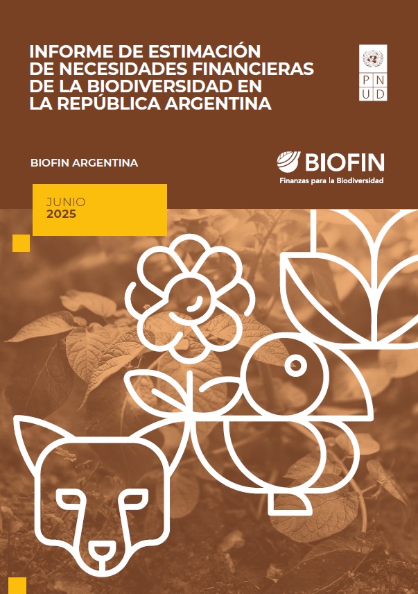 Financial Needs Assessment (FNA) – Argentina