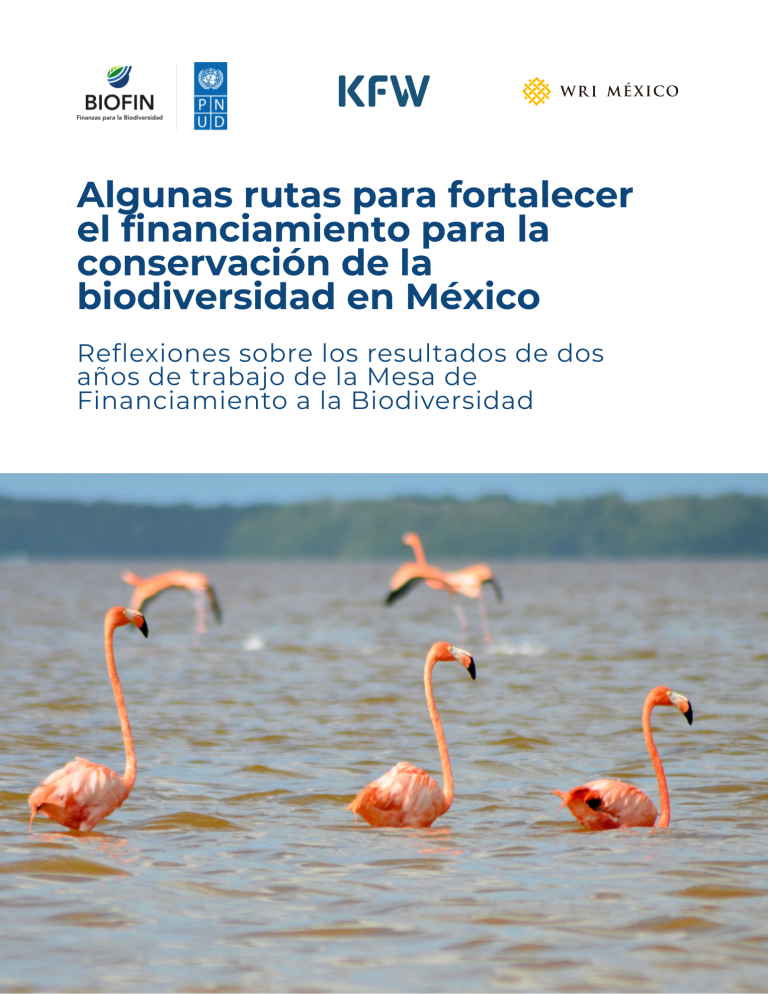 Algunas rutas para fortalecer el financiamiento para la conservación de la biodiversidad en México: Reflexiones sobre los resultados de dos años de trabajo de la Mesa de Financiamiento a la Biodiversidad
