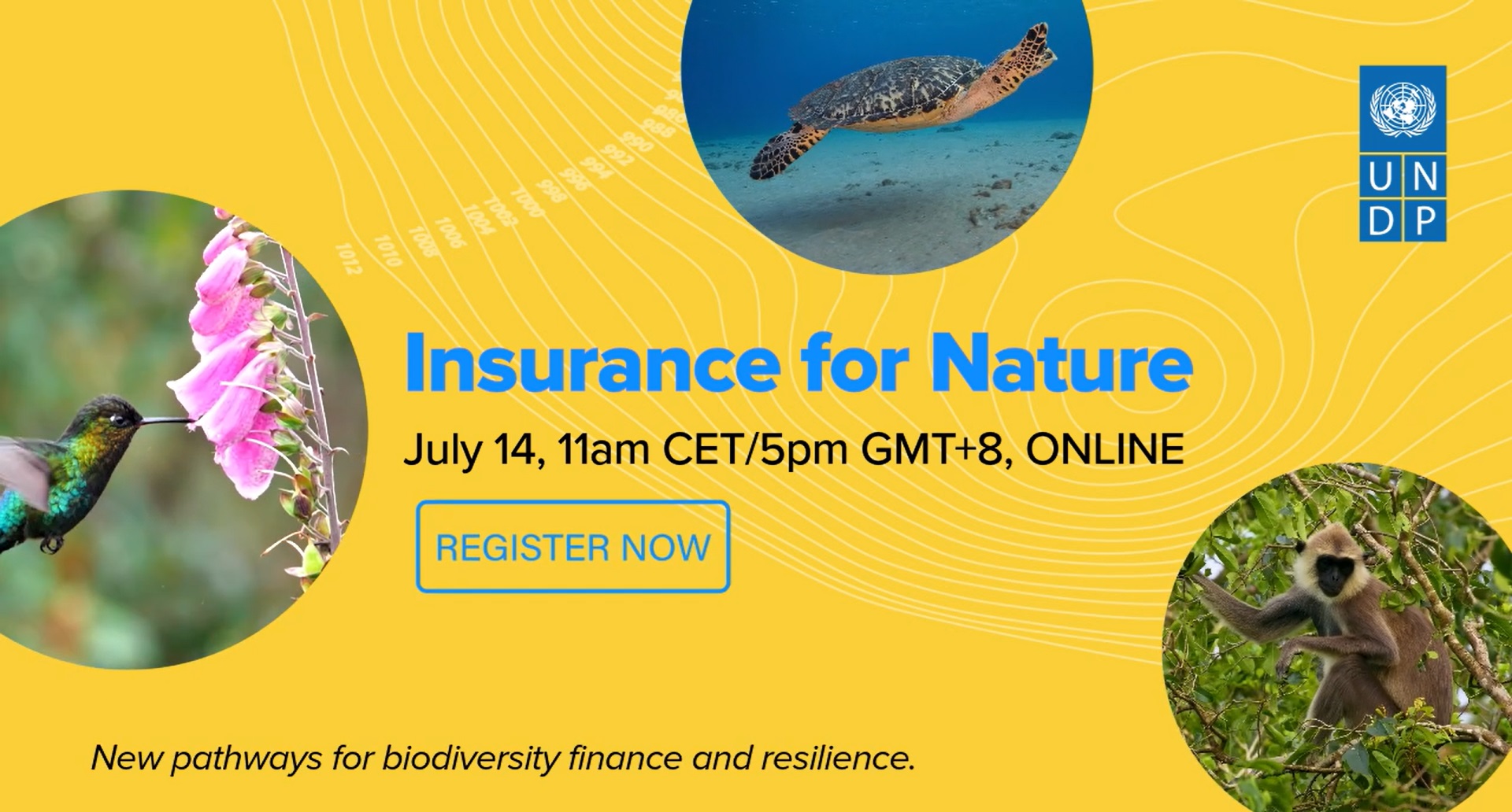 Insurance for Nature: New Pathways for Biodiversity Finance and Resilience