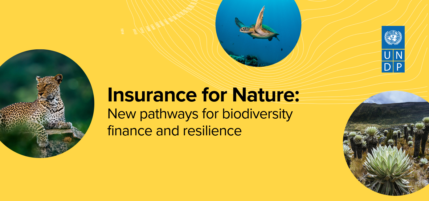 From Protecting People to Protecting Nature: How Insurance Is Becoming a New Tool for Biodiversity Finance