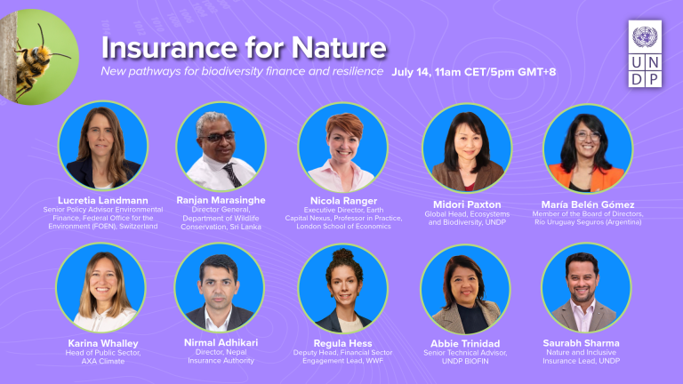 Insurance for Nature: New pathways for biodiversity finance and resilience
