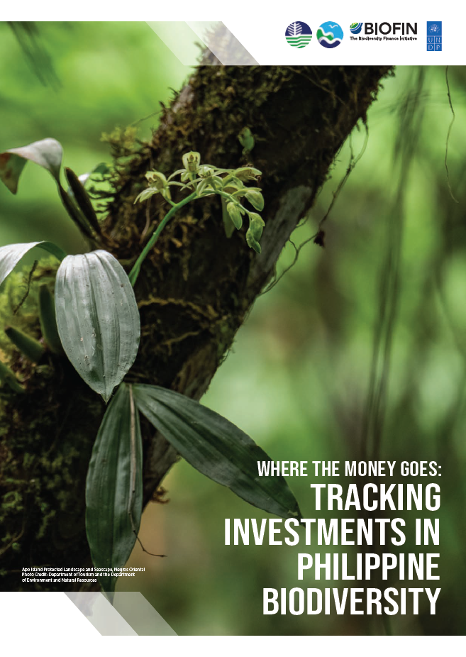 Where the Money Goes: Tracking Investments in Philippine Biodiversity