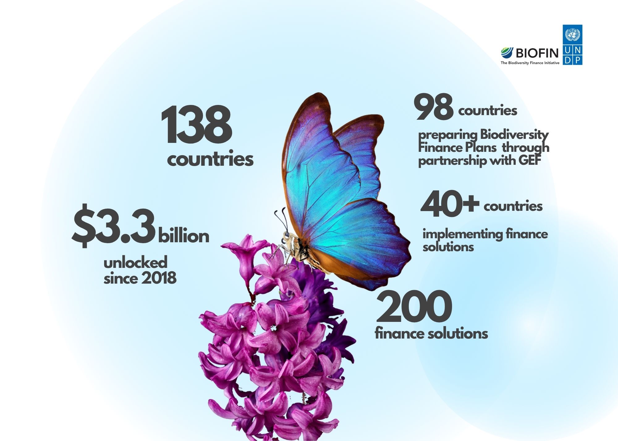 US$3.3 Billion for Nature: How Countries Are Turning Biodiversity Finance into Real Impact