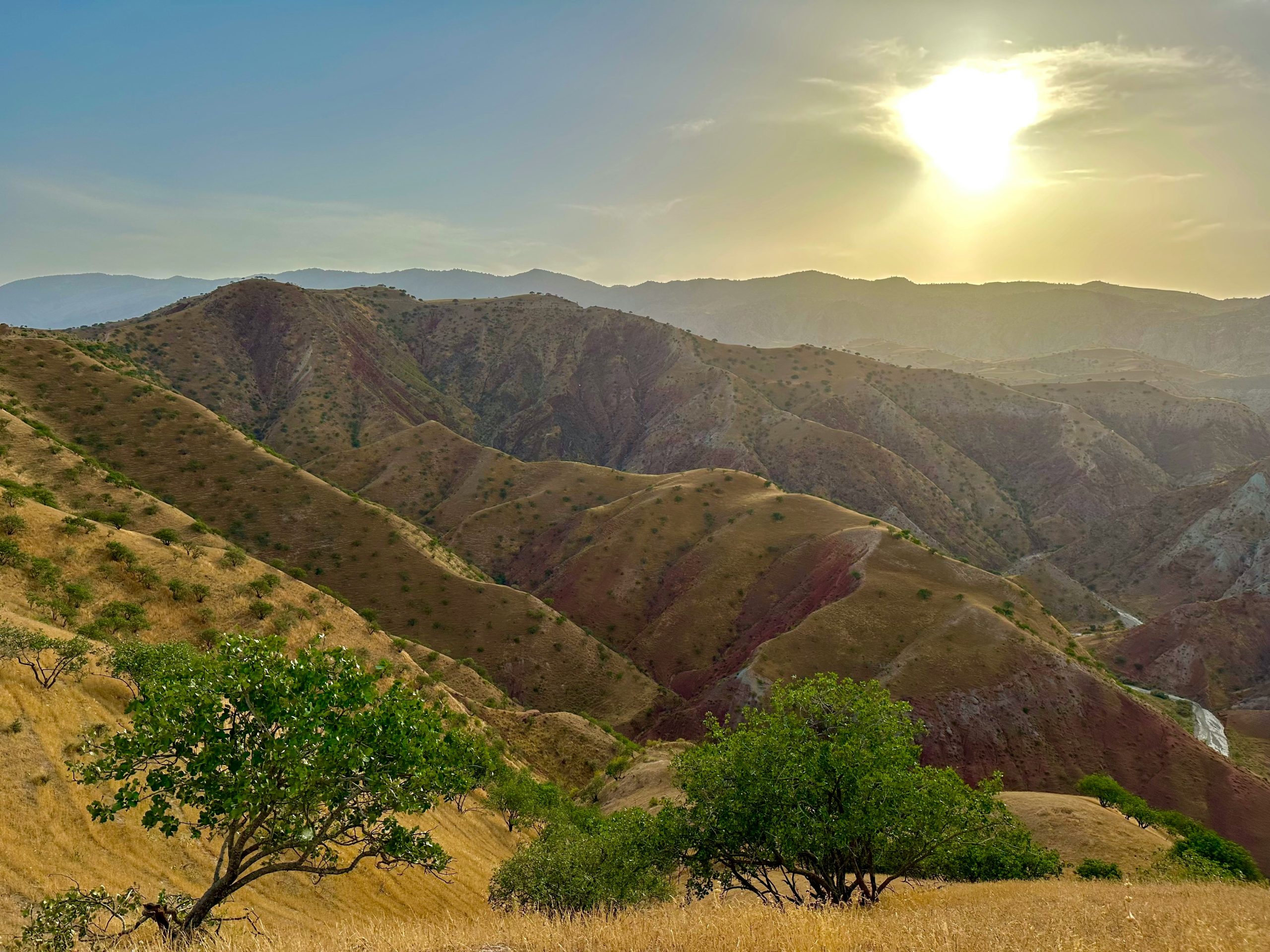 From Crisis to Classroom: How Uzbekistan Is Educating the Next Generation of Nature Finance Leaders