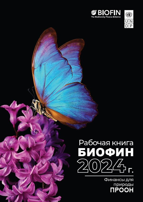 Рабочее руководство БИОФИН 2024 (Workbook)