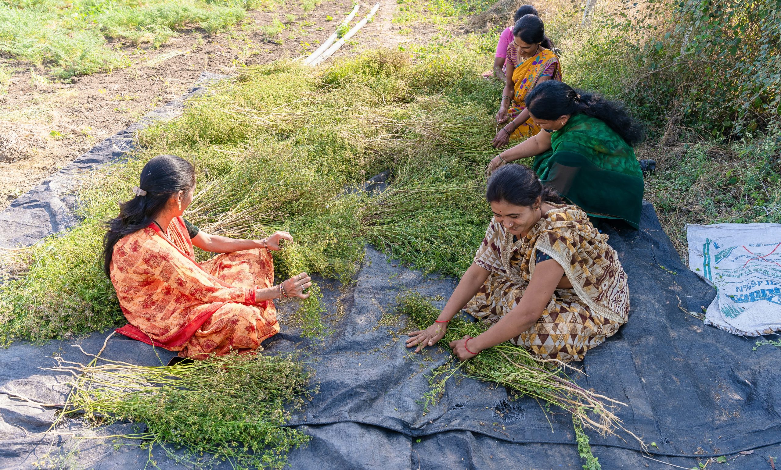India launches the world’s first certification scheme to reward biodiversity benefit-sharing