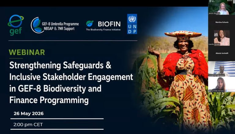 Strengthening Safeguards & Stakeholder Engagement in GEF-8 Biodiversity and Finance Programming