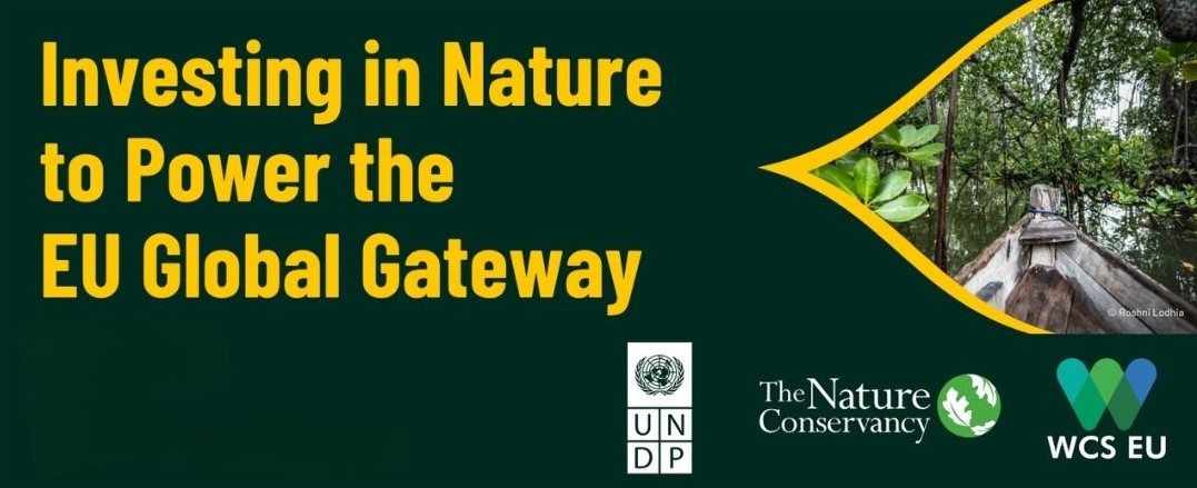 How Investing in Nature Can Strengthen the EU Global Gateway Agenda