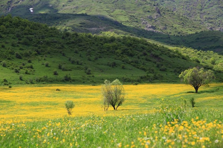 Ecosystem Accounting in Armenia: Setting the Scene