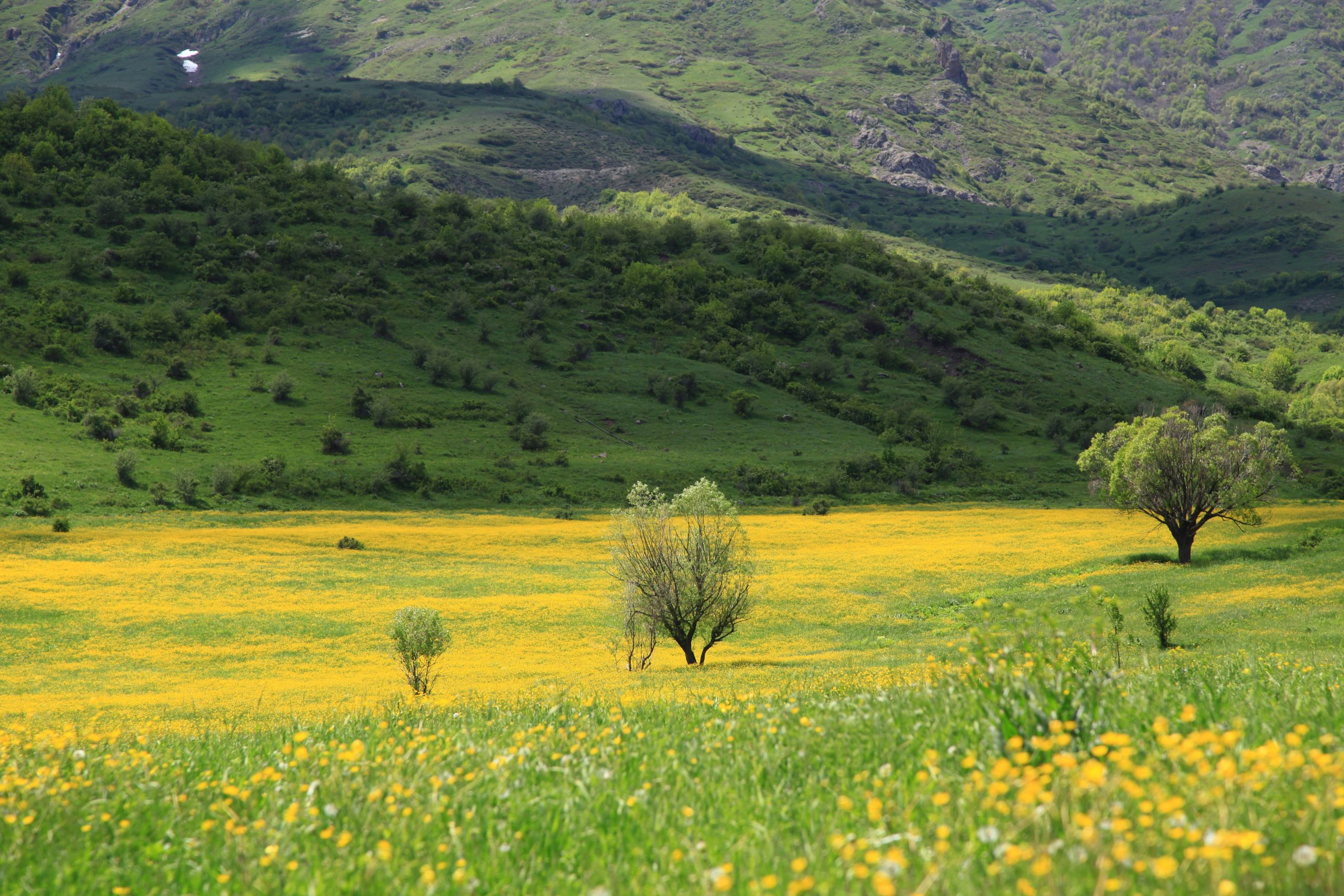 Ecosystem Accounting in Armenia: Setting the Scene