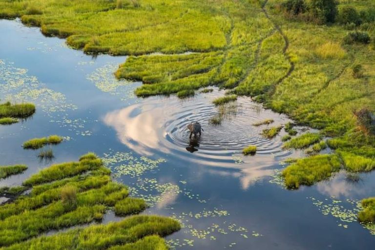 Why Nature is the New Diamond for Botswana