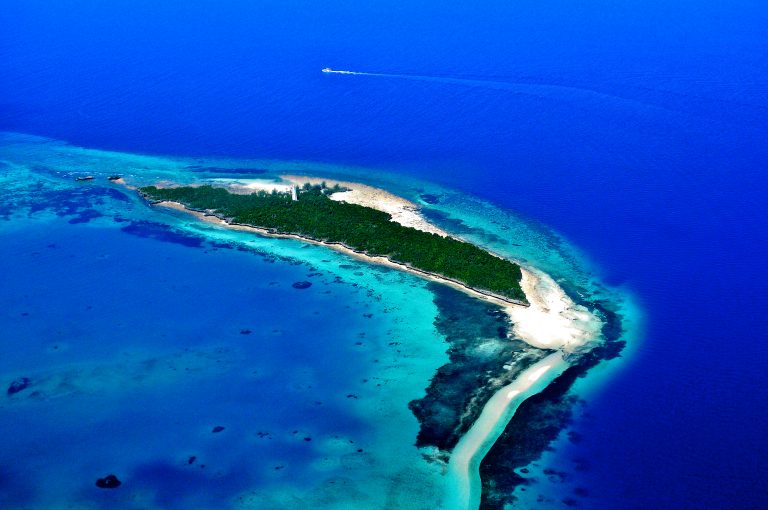Zanzibar boosts conservation efforts with new digital payments system and raised visitor fees for marine parks
