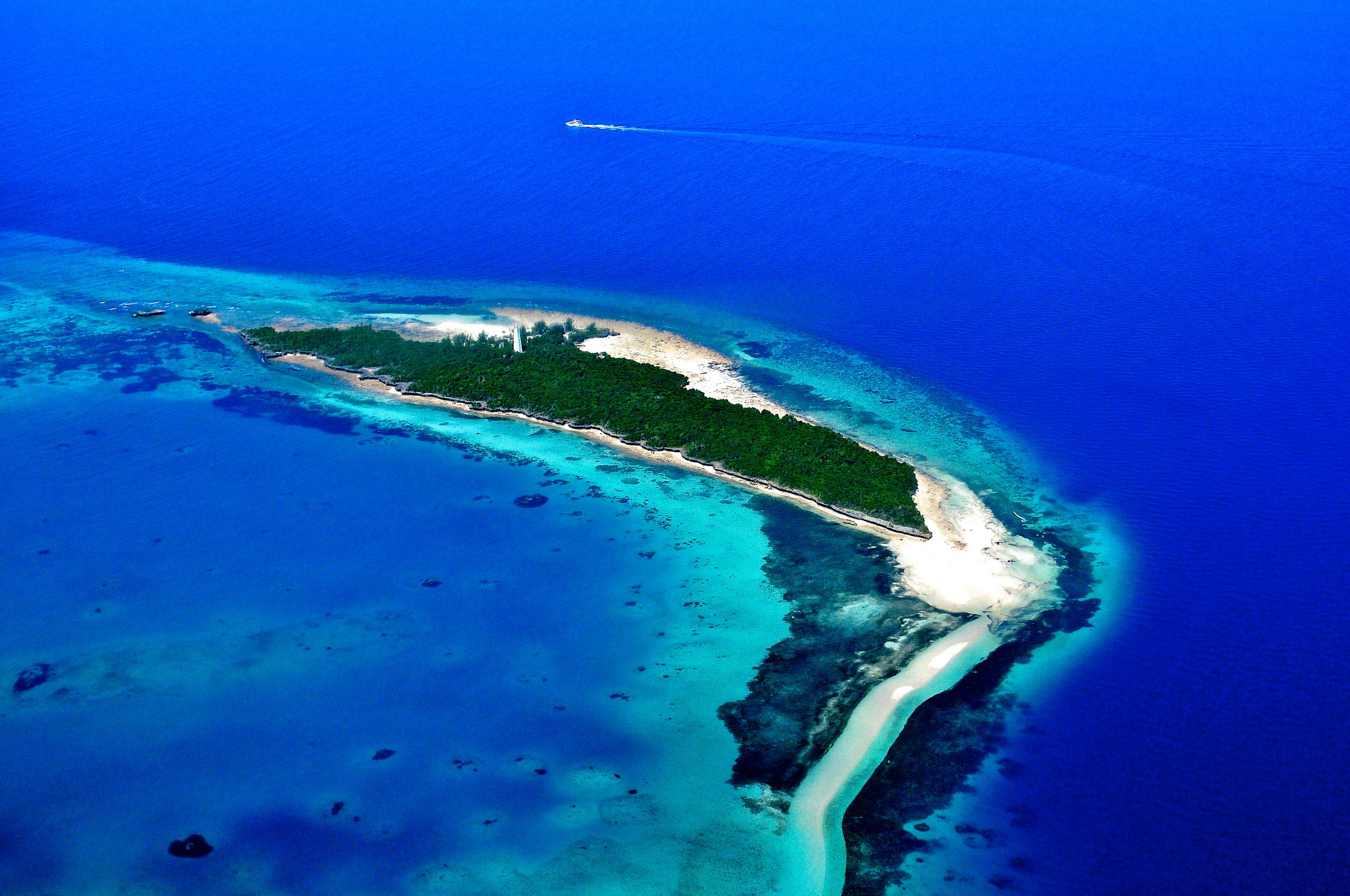Zanzibar boosts conservation efforts with new digital payments system and raised visitor fees for marine parks