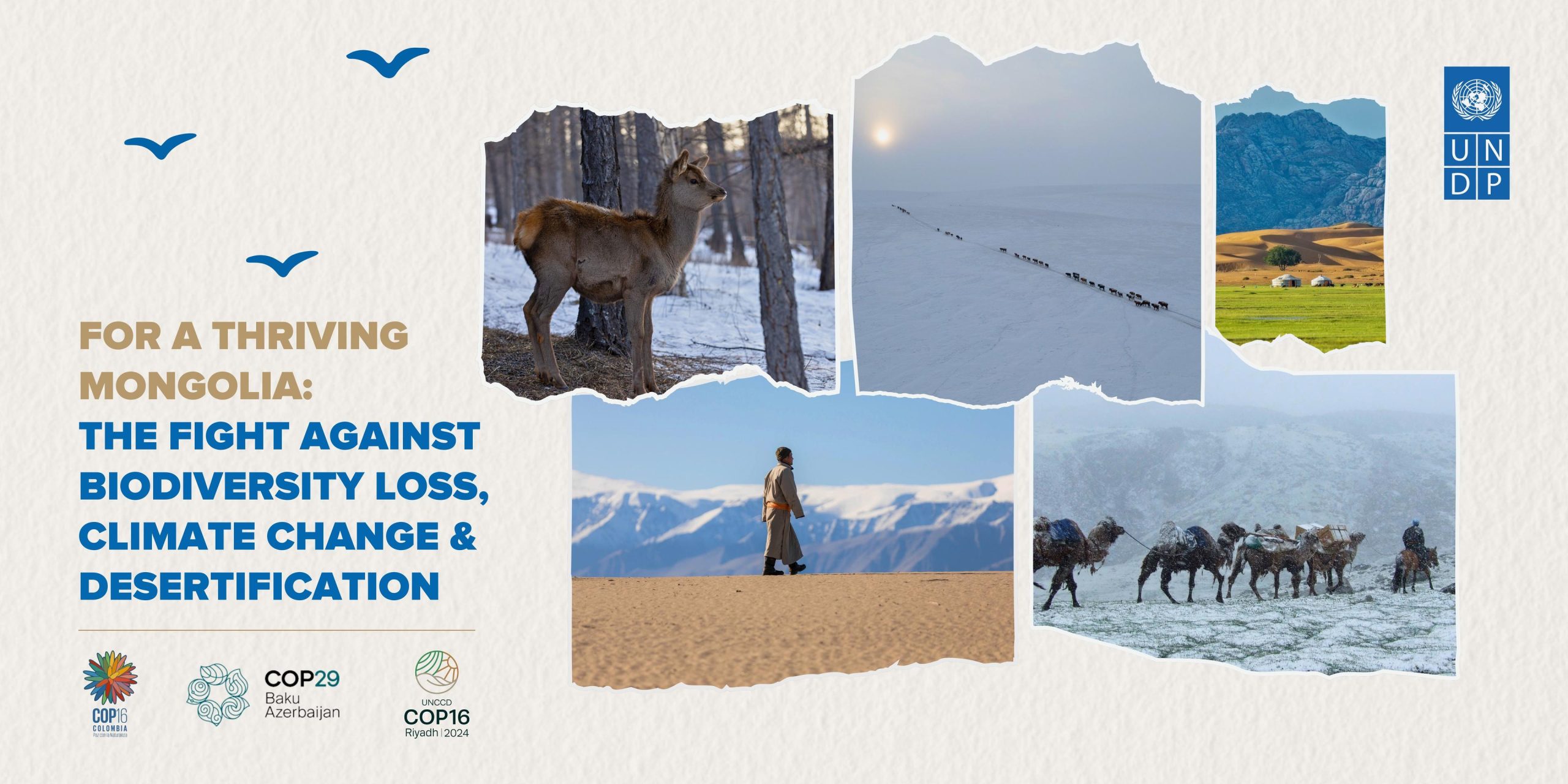 For a Thriving Mongolia: The Fight Against Biodiversity Loss, Climate Change, and Desertification