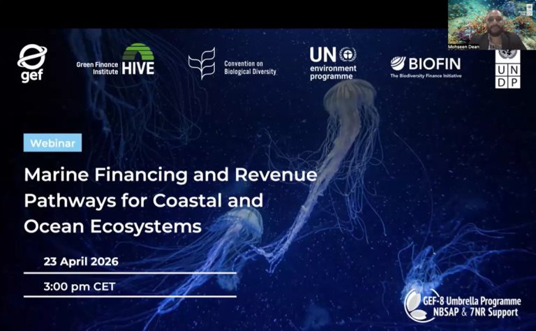 Webinar: Marine Financing and Revenue Pathways for Coastal and Ocean Ecosystems