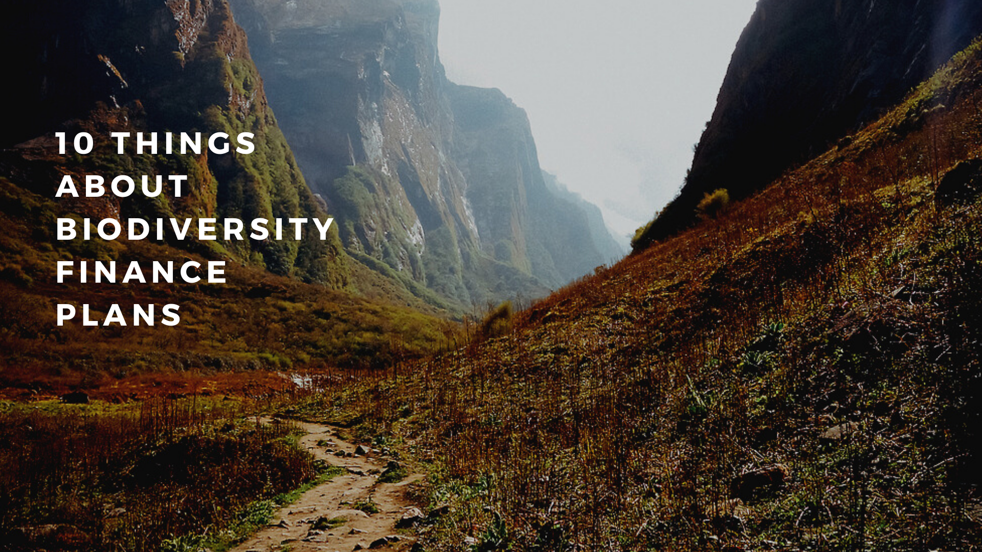 10 things you should know about national biodiversity finance plans