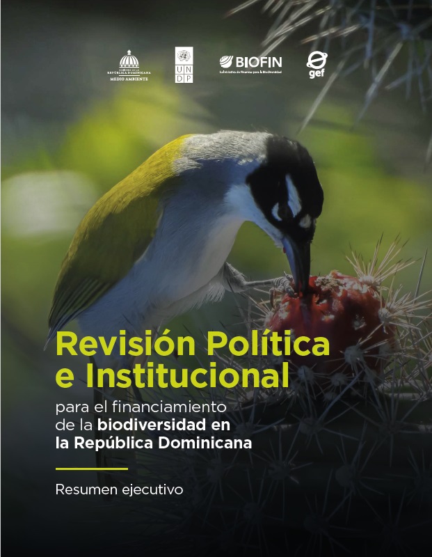 Dominican Republic’s Policy and Institutional Review