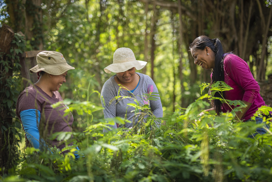 +Women +Nature Programme: putting women at the heart of biodiversity finance in Costa Rica