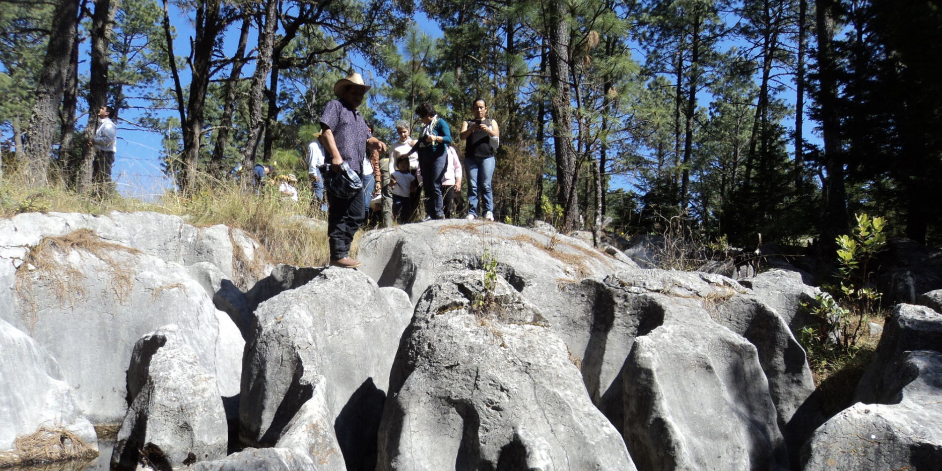 Mexico shows opportunities for impact investment in nature