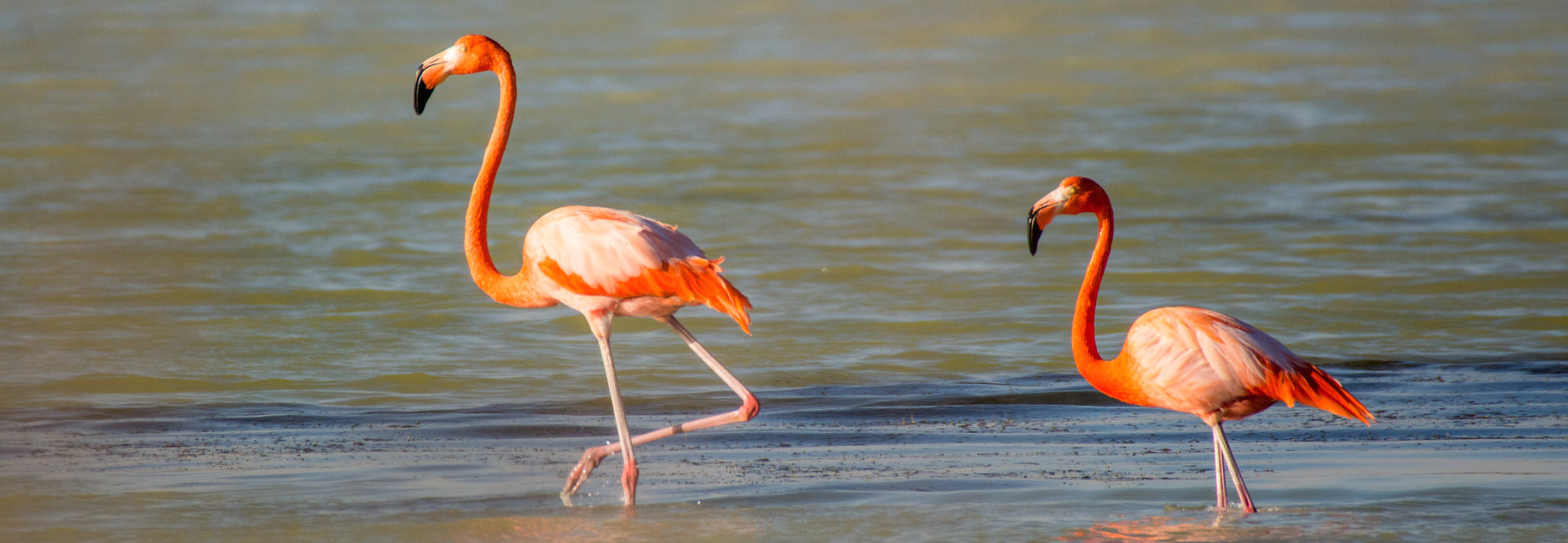 Biodiversity Finance Plan approved in Cuba