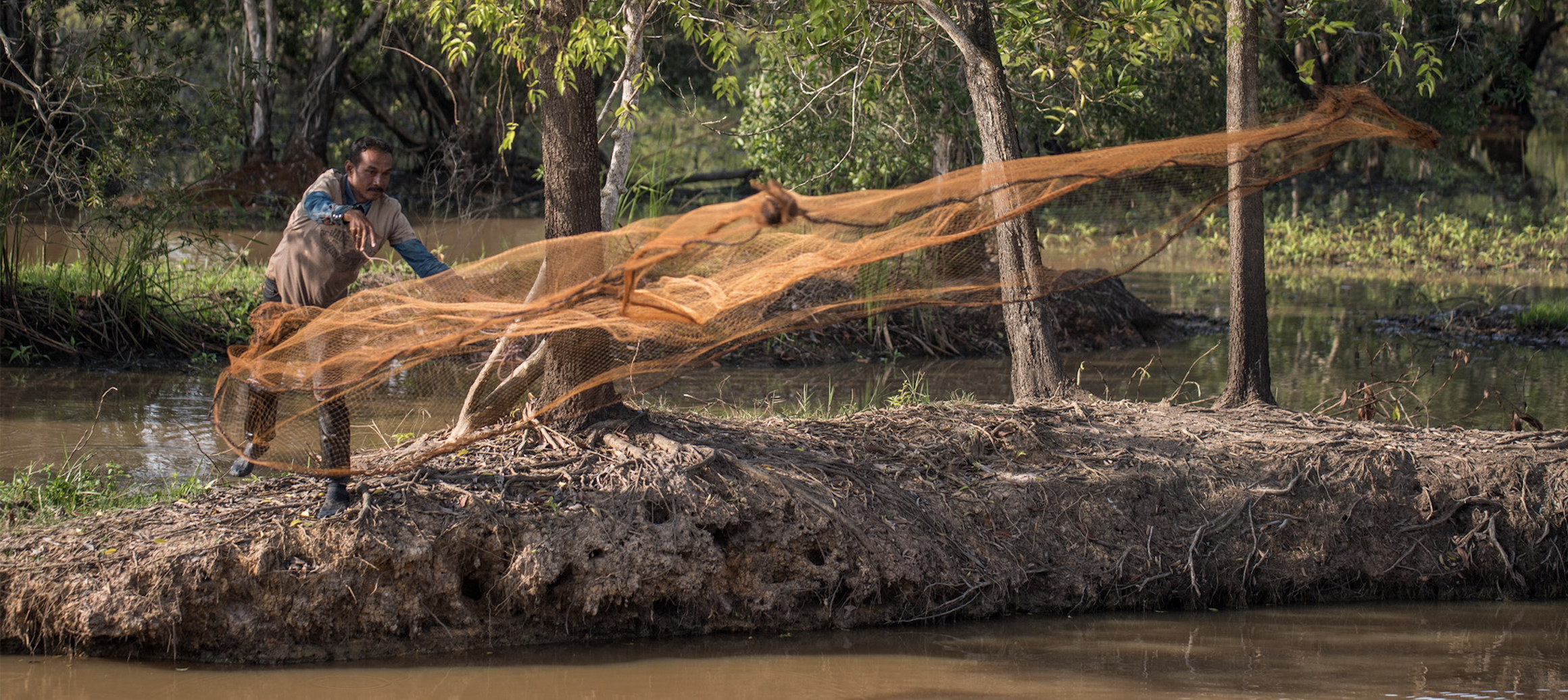 Biodiversity finance crucial for protecting nature and achieving sustainable development