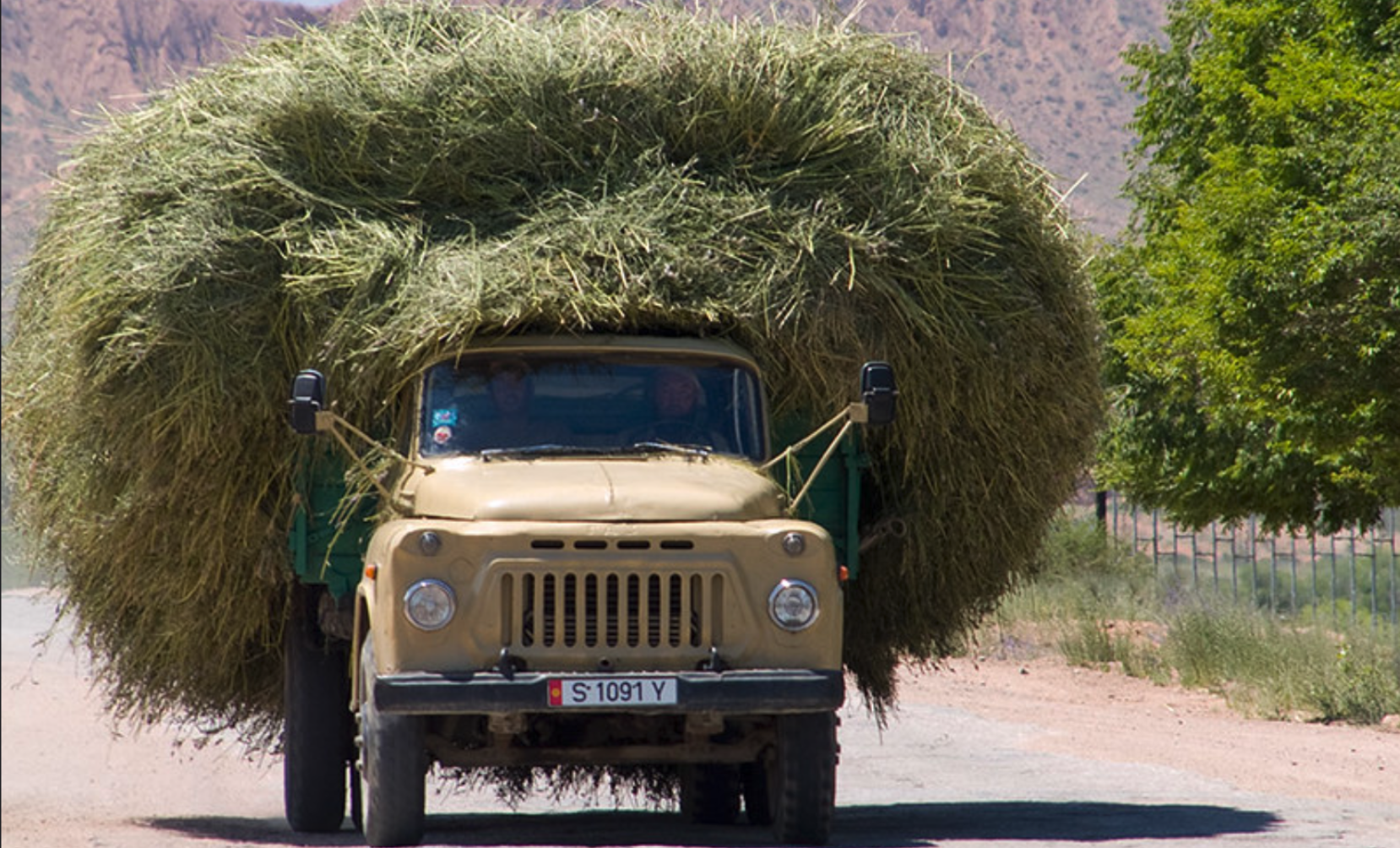 Overcoming barriers to reform subsidies in the agricultural sector in Kyrgyzstan