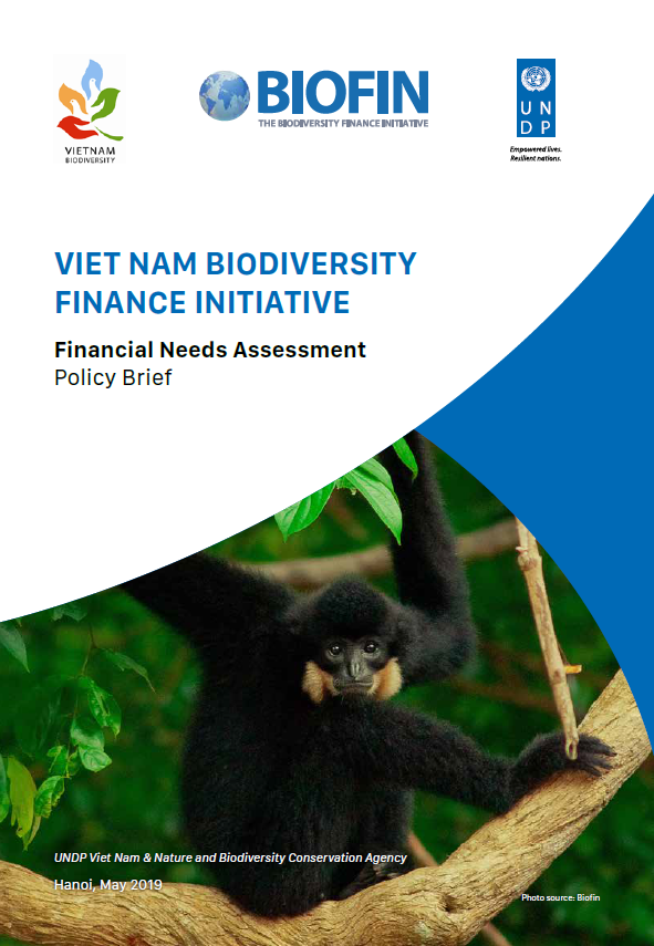 Viet Nam: Financial Needs Assessment (Brief)