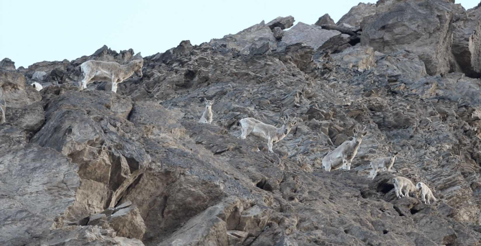 How Mongolia is transforming natural resource revenues into sustained finance for nature
