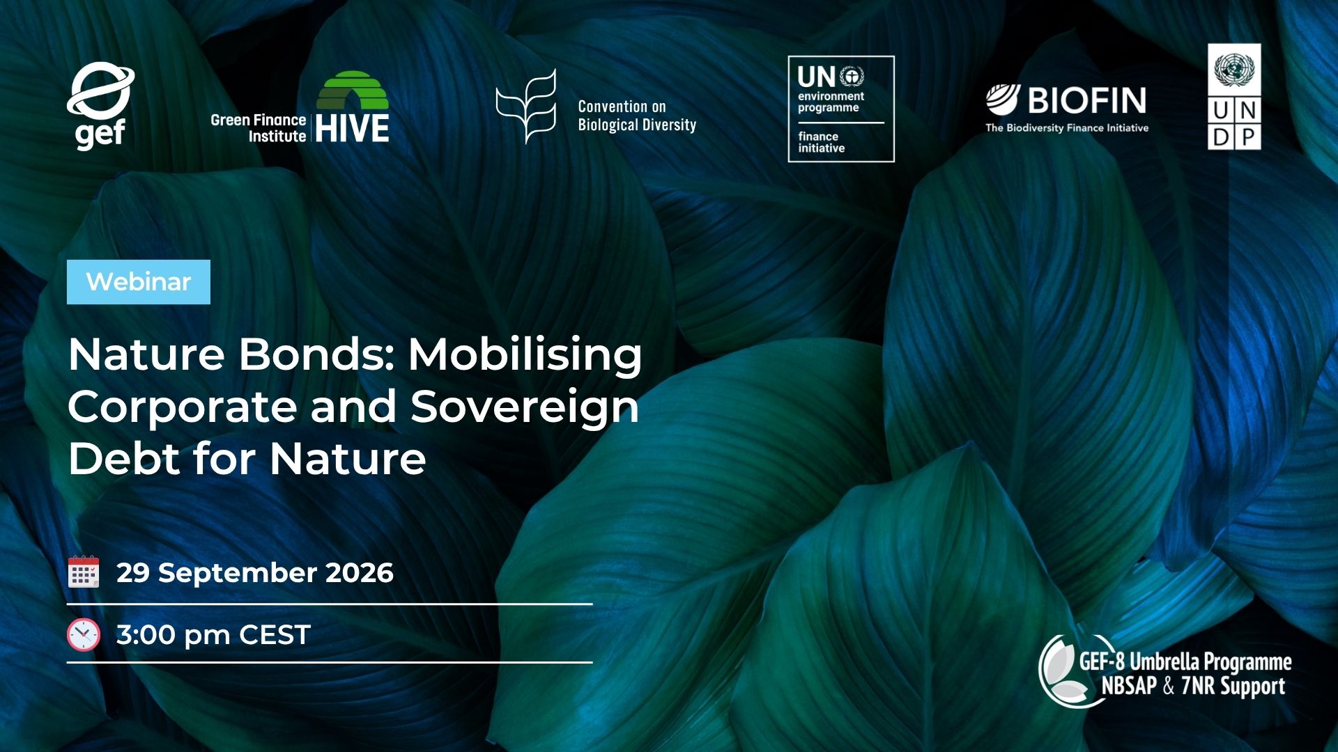 Nature Bonds: Mobilising Corporate and Sovereign Debt for Nature