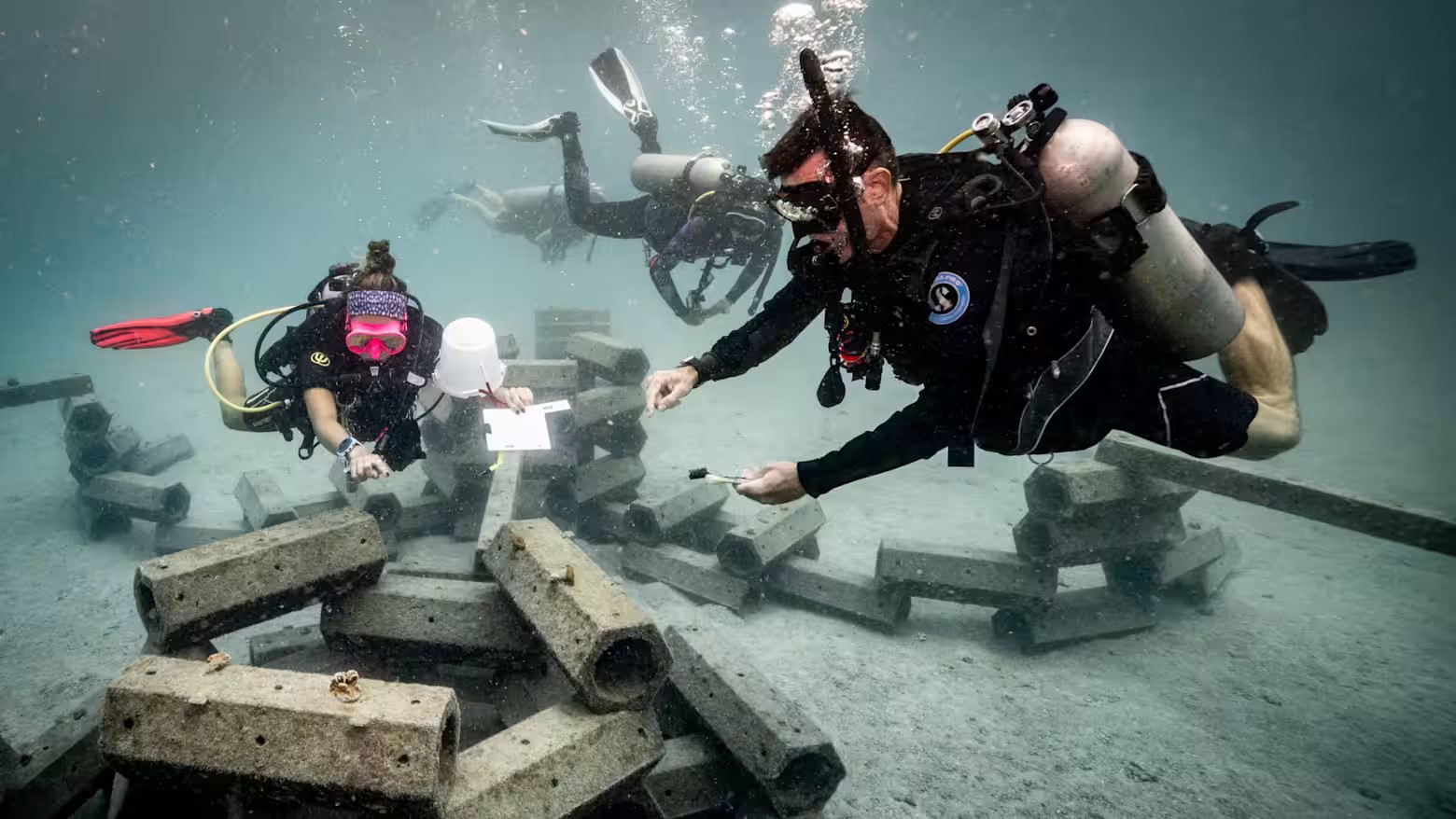 In the news: Nikkei Asia explores marine conservation in Koh Tao, Thailand