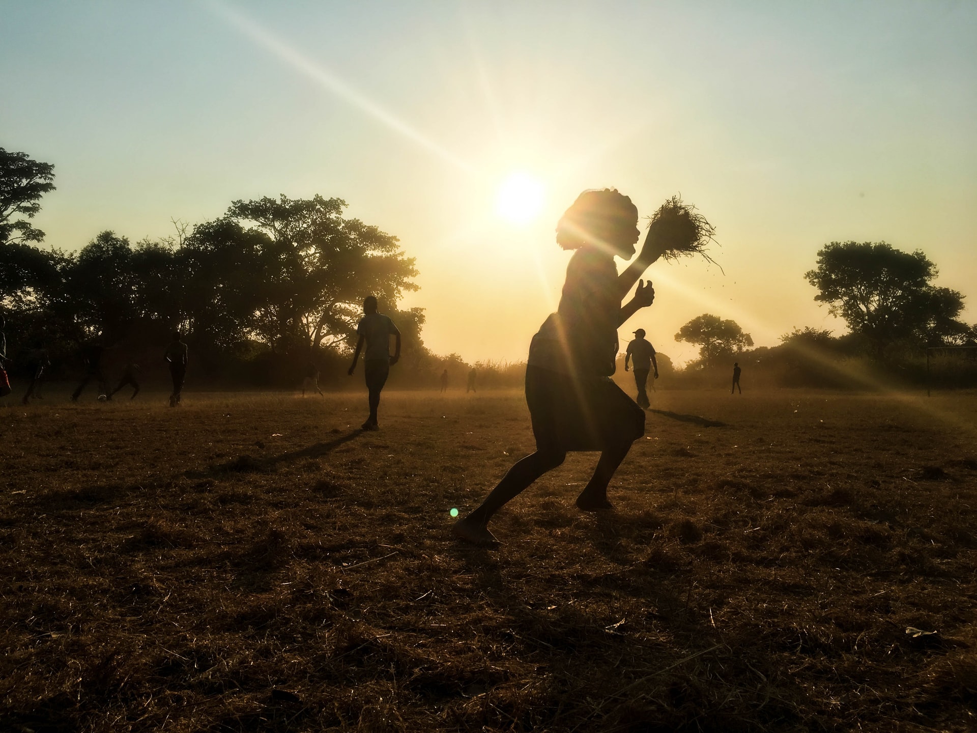 Biodiversity finance steps into Zambia’s capital market development plan